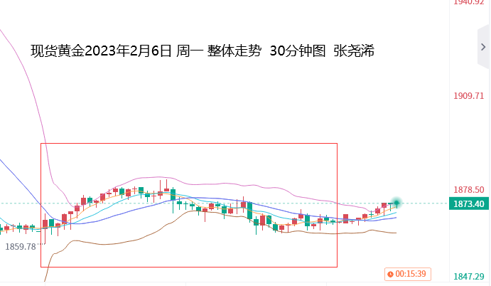 张尧浠：鹰言携非农打压有限、黄金即将回调到位再起攀升   