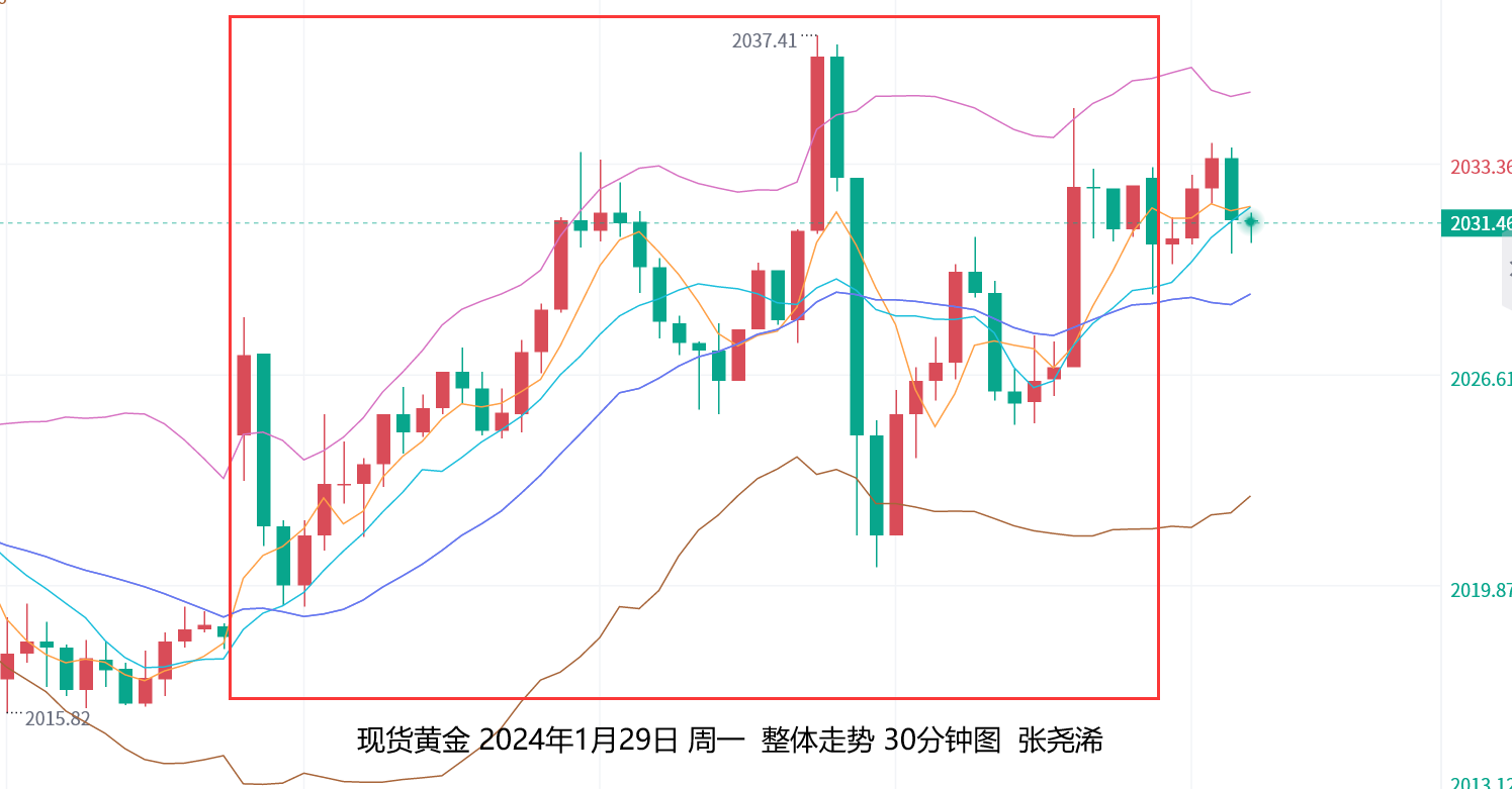 张尧浠：地缘局势及数据尽显利好、金价有望反弹转强   