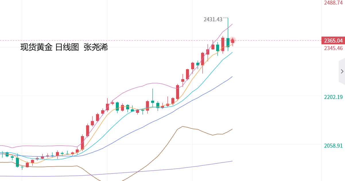 张尧浠：混乱市场大涨大跌、黄金前景仍未来数年向好   