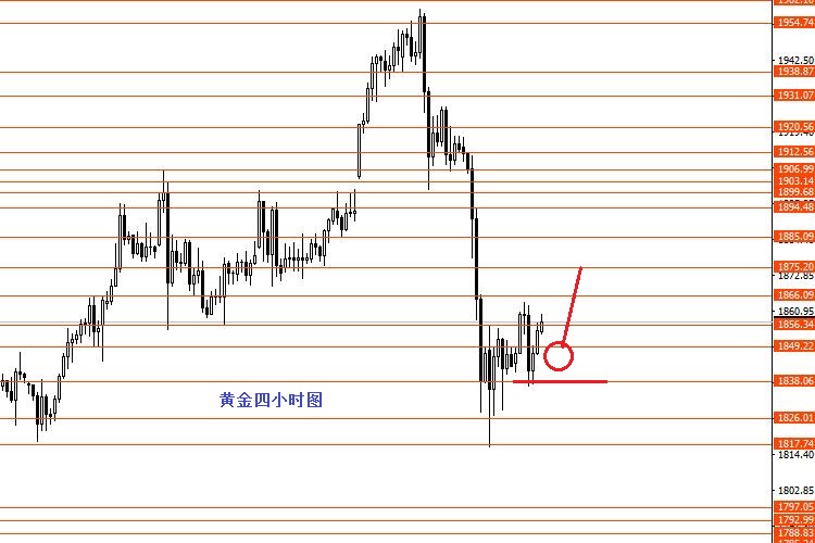 张果彤：黄金短线反弹美指观望