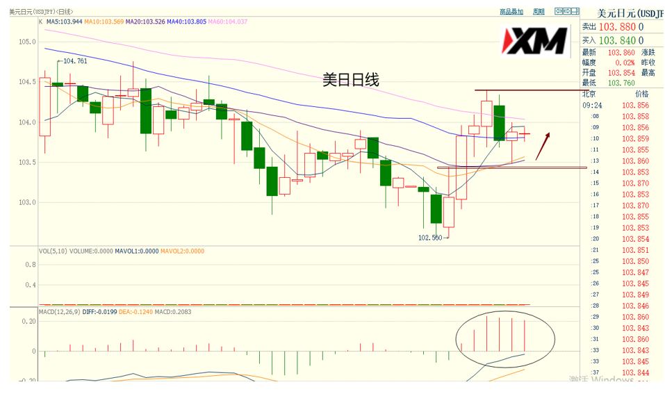 XM汇评 – 美元如预期震荡，多头没有放弃