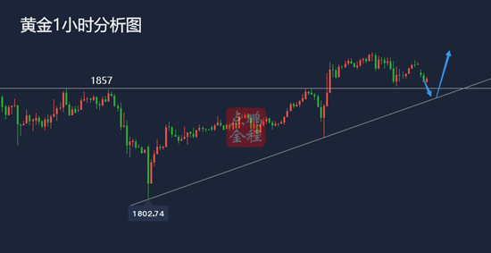 黄金高位调整不改涨势1856上继续多1.22黄金走势分析及思路