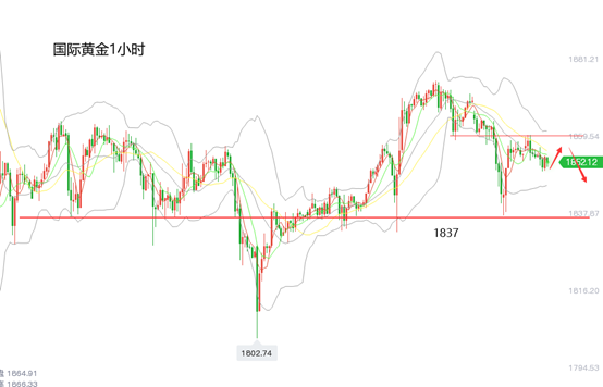 黄力晨：黄金短期走势僵持 金价区间震荡整理