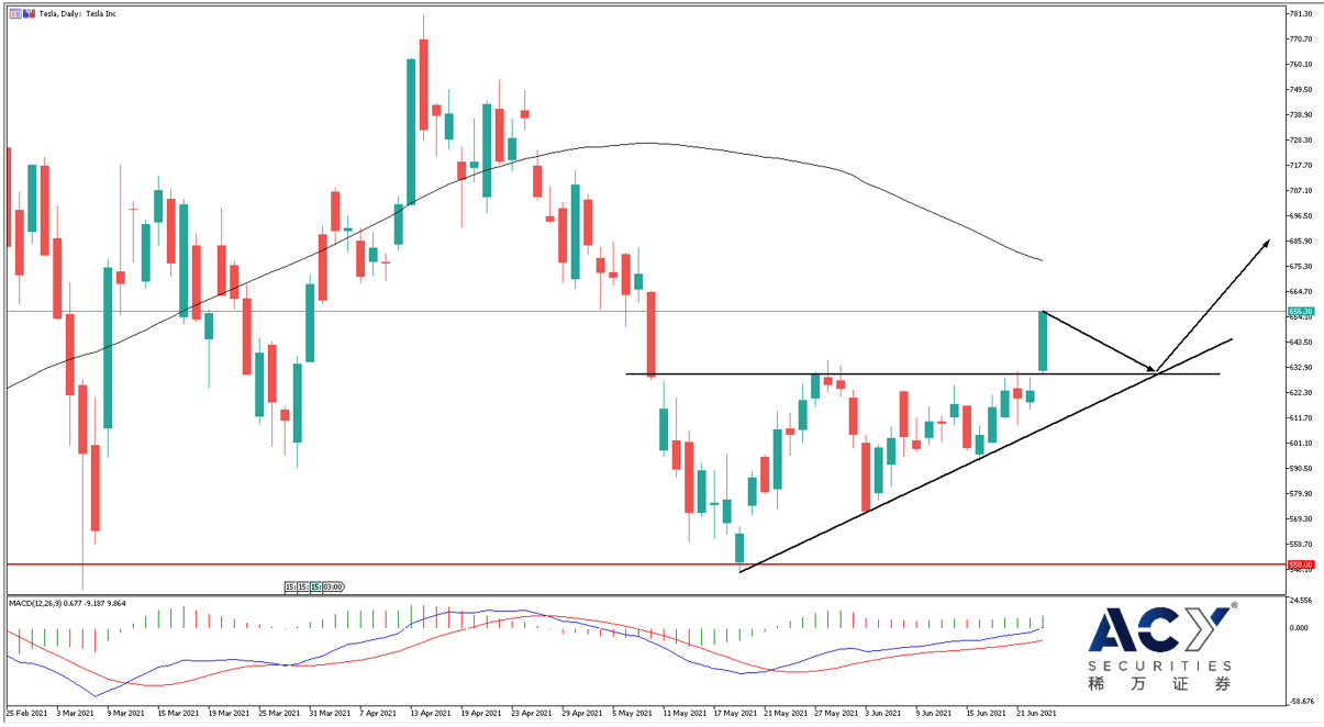 【ACY稀万证券】电动车板块全面上涨，特斯拉重回资本怀抱