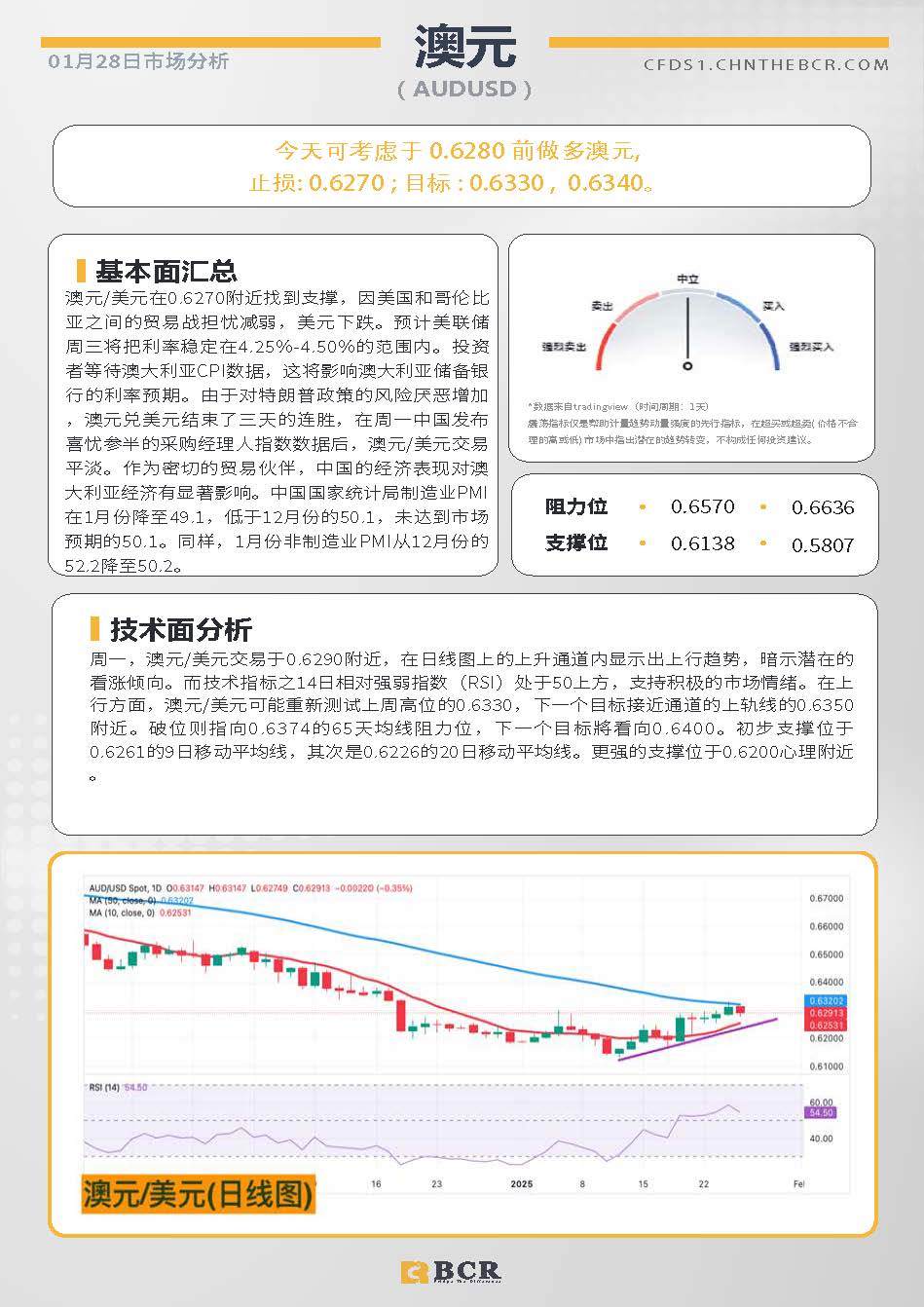 BCR每日早评及分析-2025年1月28日