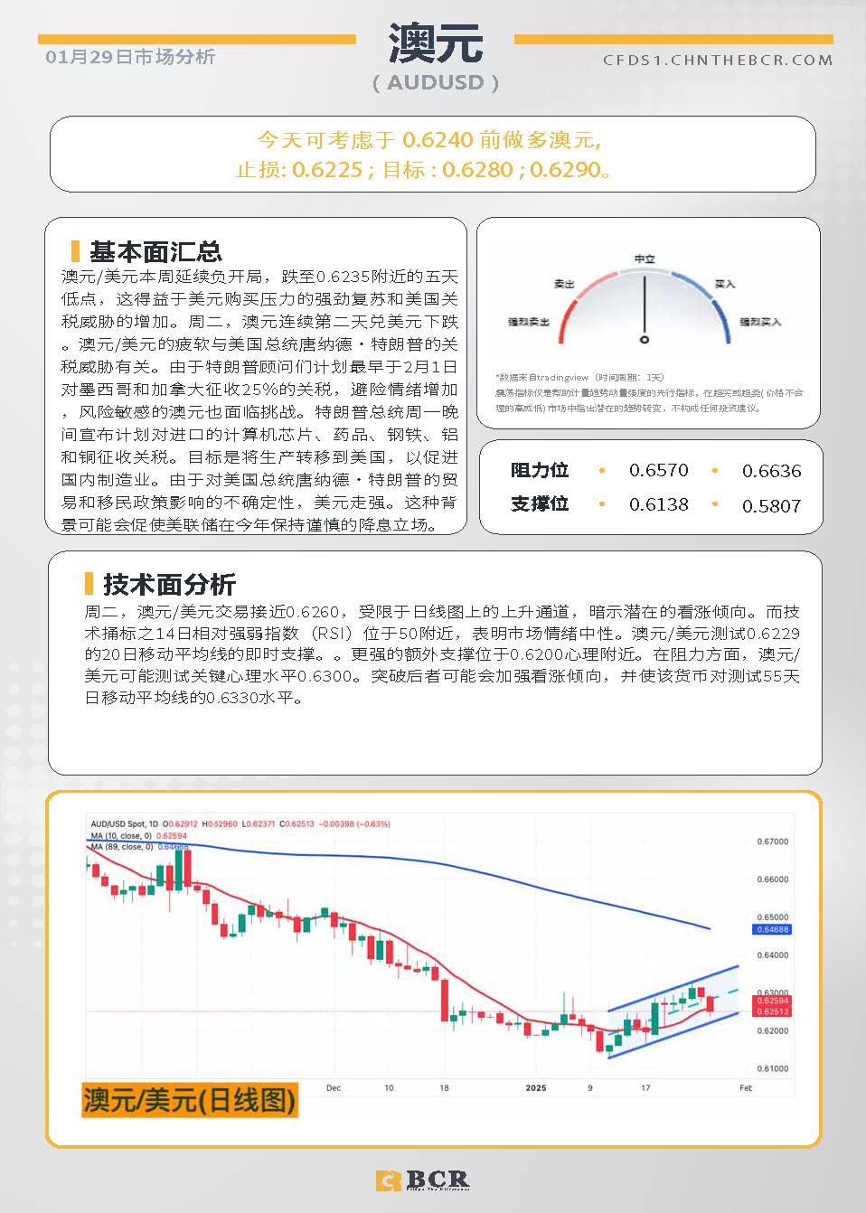 BCR每日早评及分析-2025年1月29日